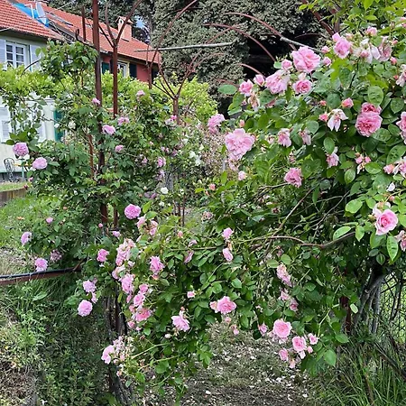 Ponzio Apartamento